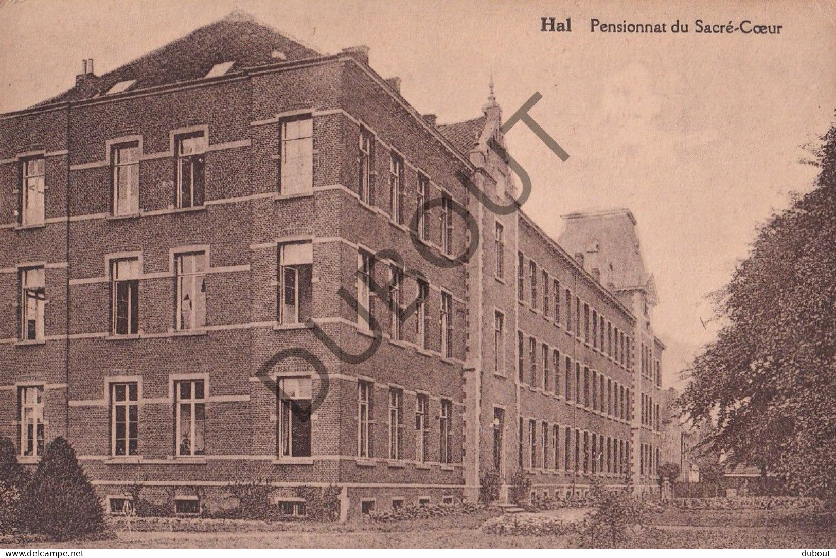 Postkaart - Carte Postale - Halle - Pensionnat Du Sacré-Coeur  (C5763) - Halle