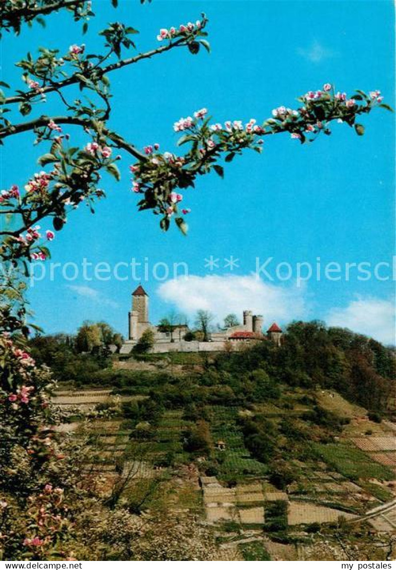 73228284 Heppenheim Bergstrasse Starkenburg Im Fruehling Baumbluete Heppenheim B - Heppenheim