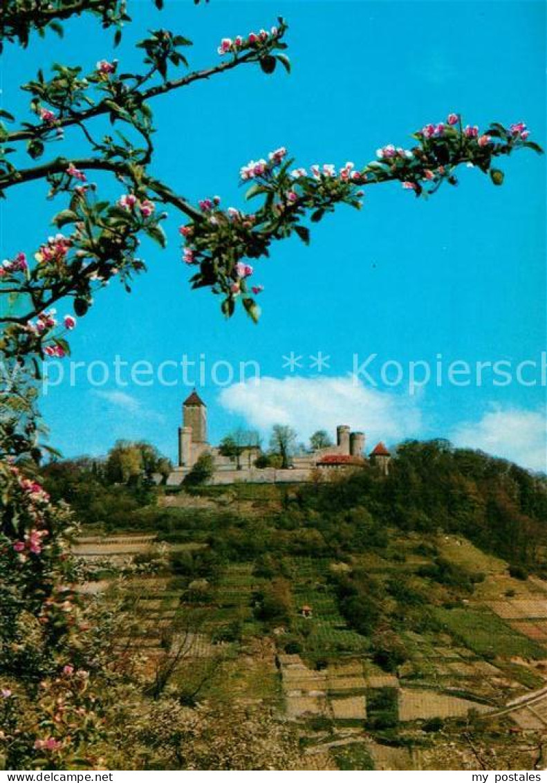 73228275 Heppenheim Bergstrasse Starkenburg Im Fruehling Baumbluete Heppenheim B - Heppenheim