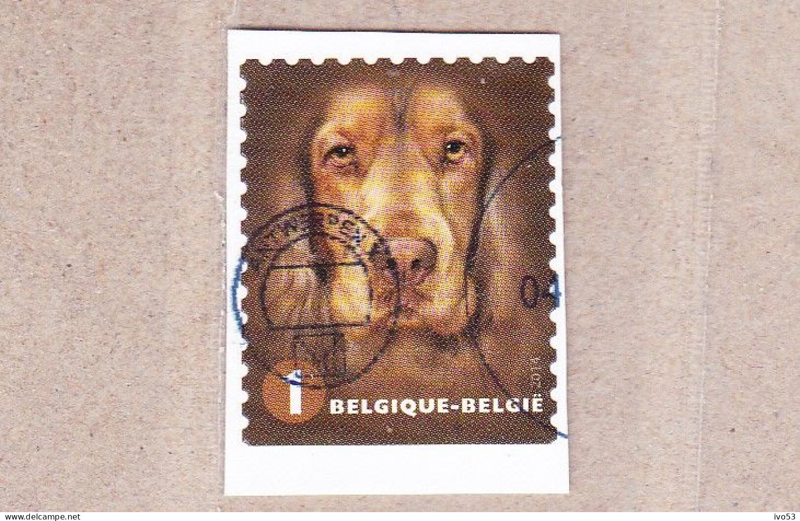 2014 Nr 4390 Gestempeld Op Fragment,zegel Uit Boekje B145.Honden / Chiens. - Used Stamps