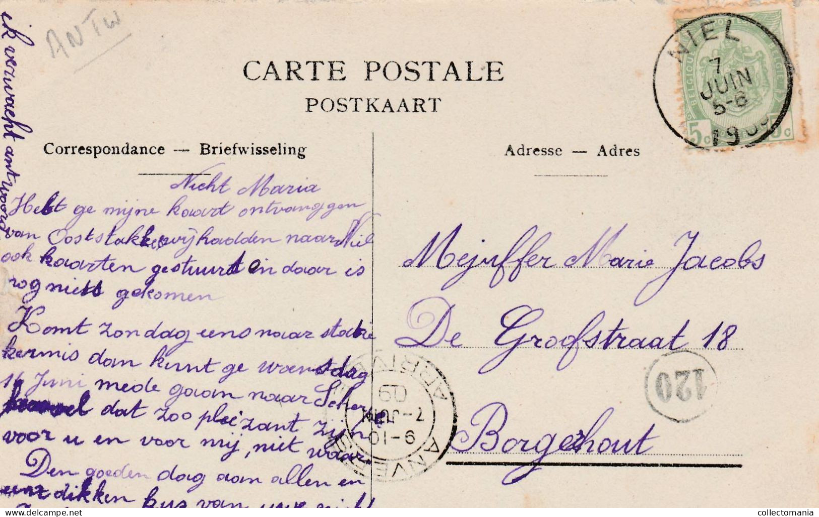 3 Oude Postkaarten NIEL  Heidesraat Paardenkar  1908 Trueelplaats 1909 De Rupel 1908 Uitg. Nels - Niel