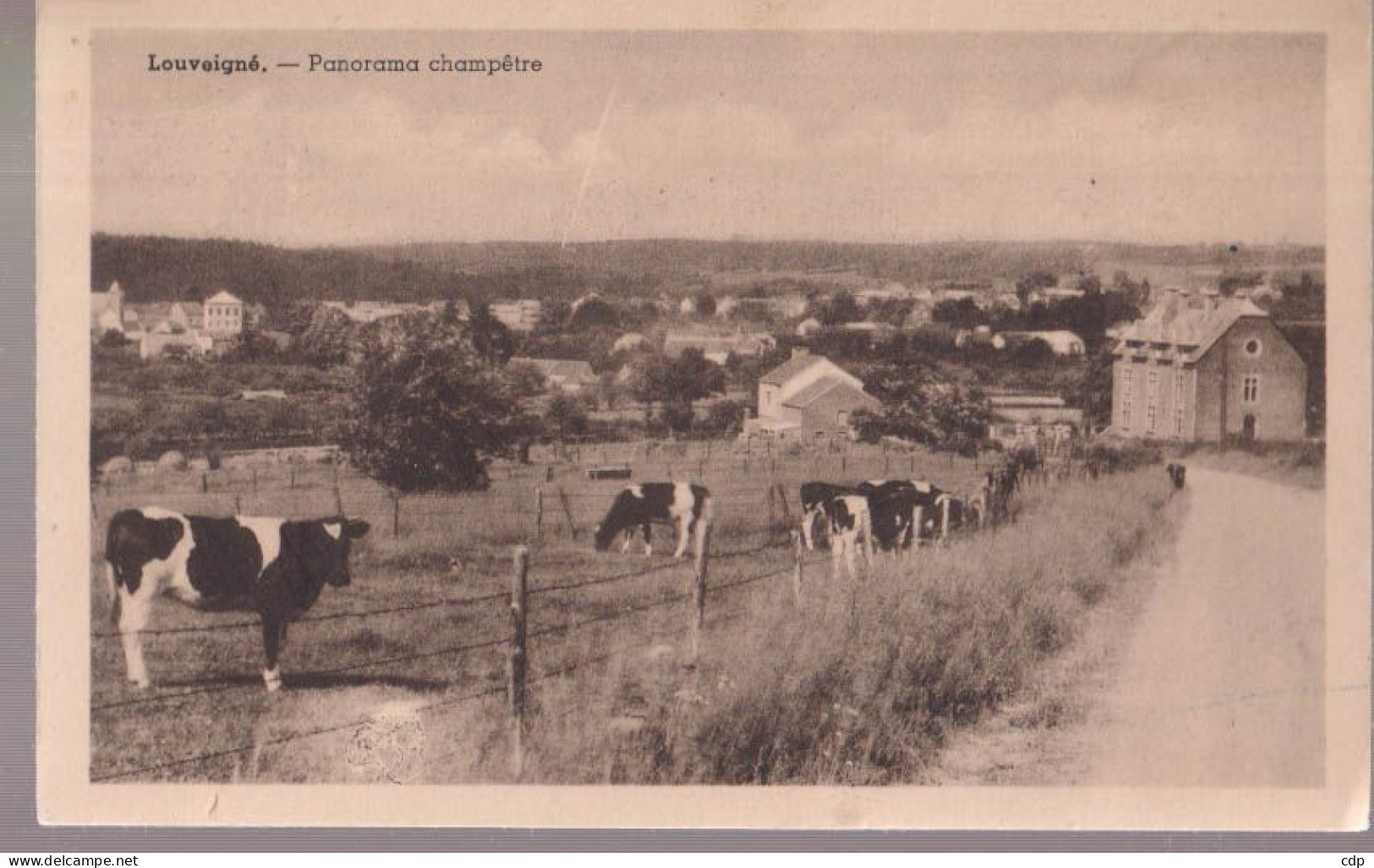 Cpa Louveigné   Vaches - Sprimont