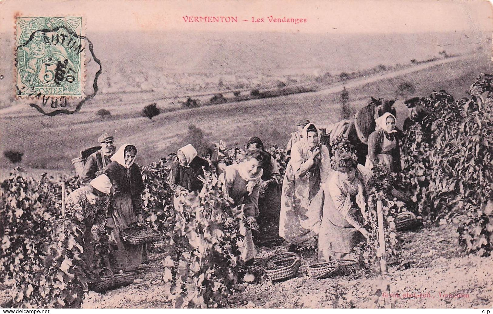 Vermenton - Les Vendanges - CPA °Jp - Saint Sauveur En Puisaye