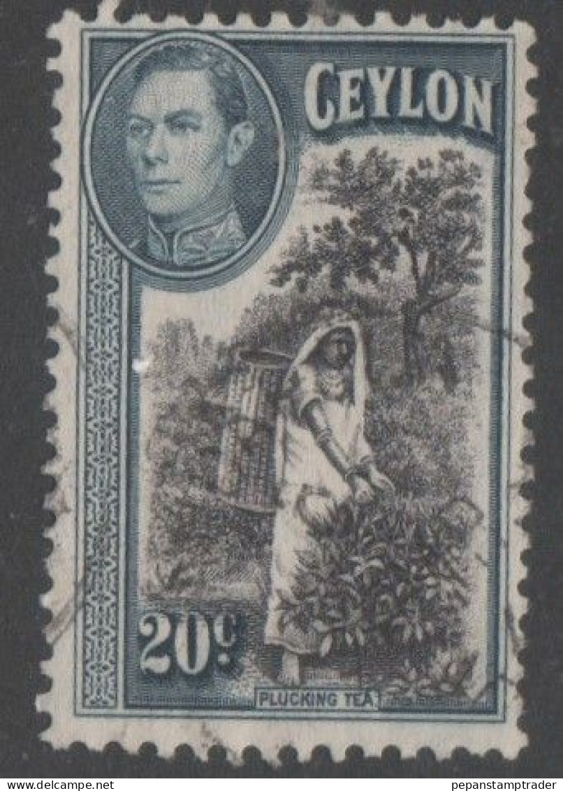 Ceylon - #282 - Used - Ceylon (...-1947)