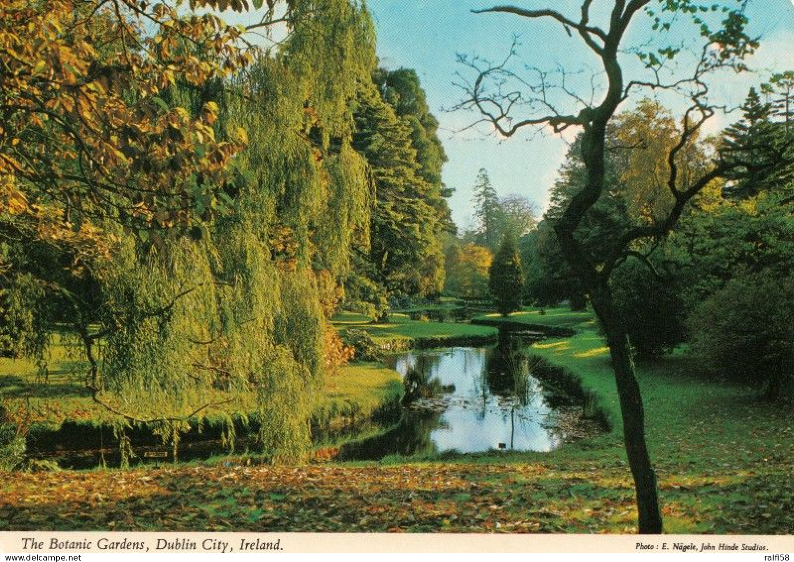 1 AK Irland / Ireland * The Botanic Gardens In Dublin * - Dublin