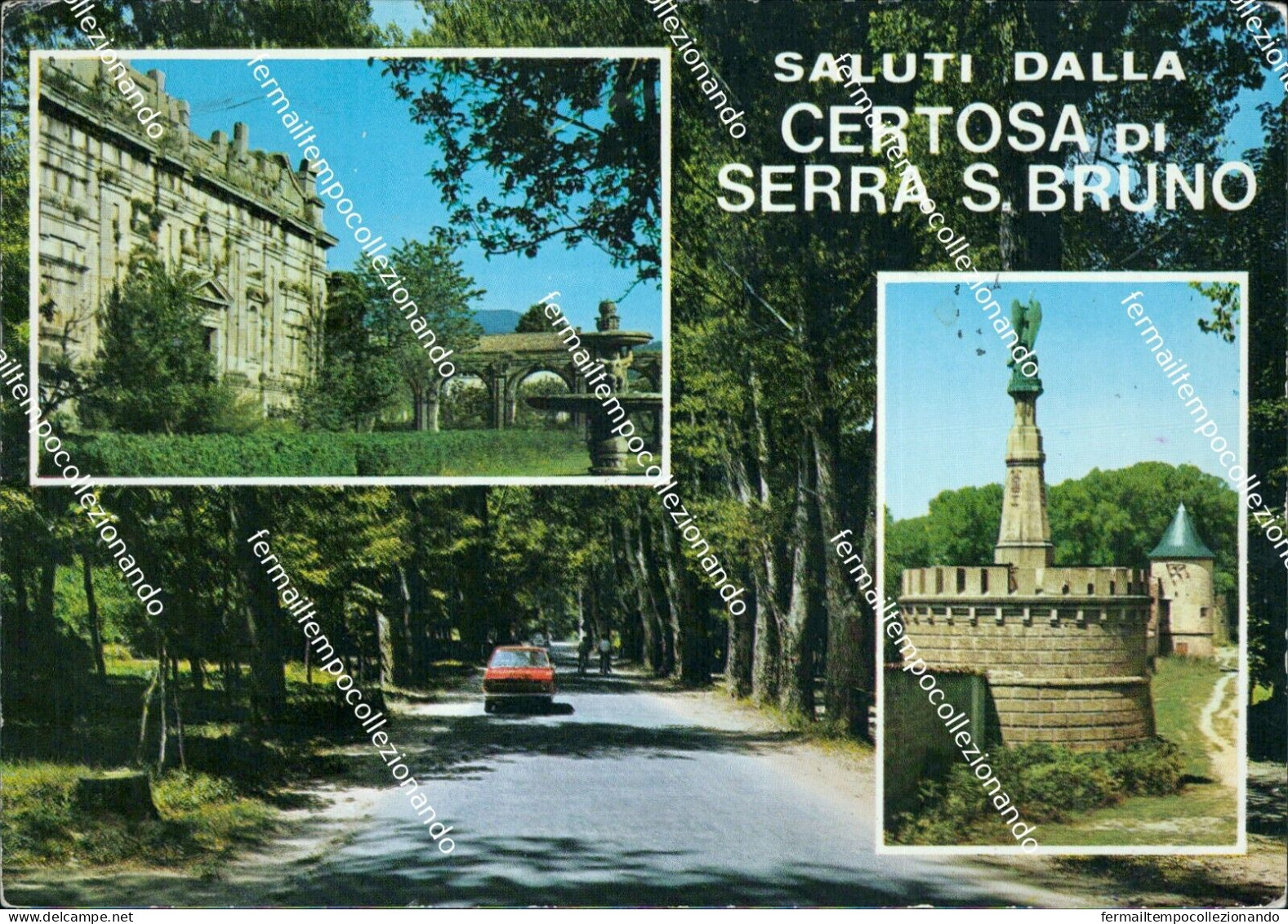 Ao682 Cartolina Saluti Dalla Certosa Di Serra S.bruno - Catanzaro