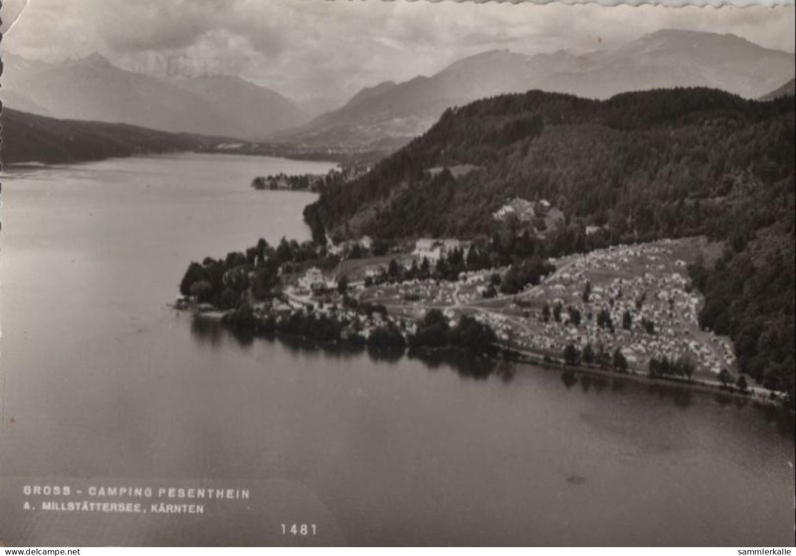 51487 - Österreich - Pesenthein - Gross-Camping - 1962 - Millstatt