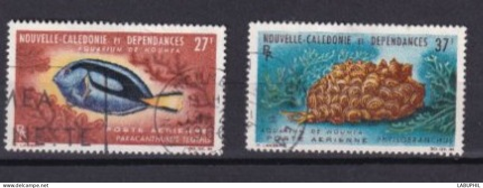 NOUVELLE CALEDONIE Dispersion D'une Collection Oblitéré Used  1965 Faune - Used Stamps