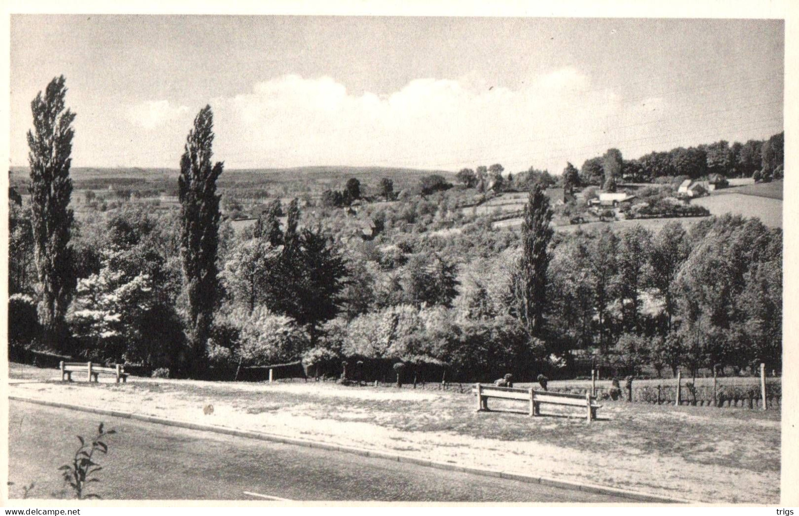 Ronse - Panorama Kruisberg - Ronse