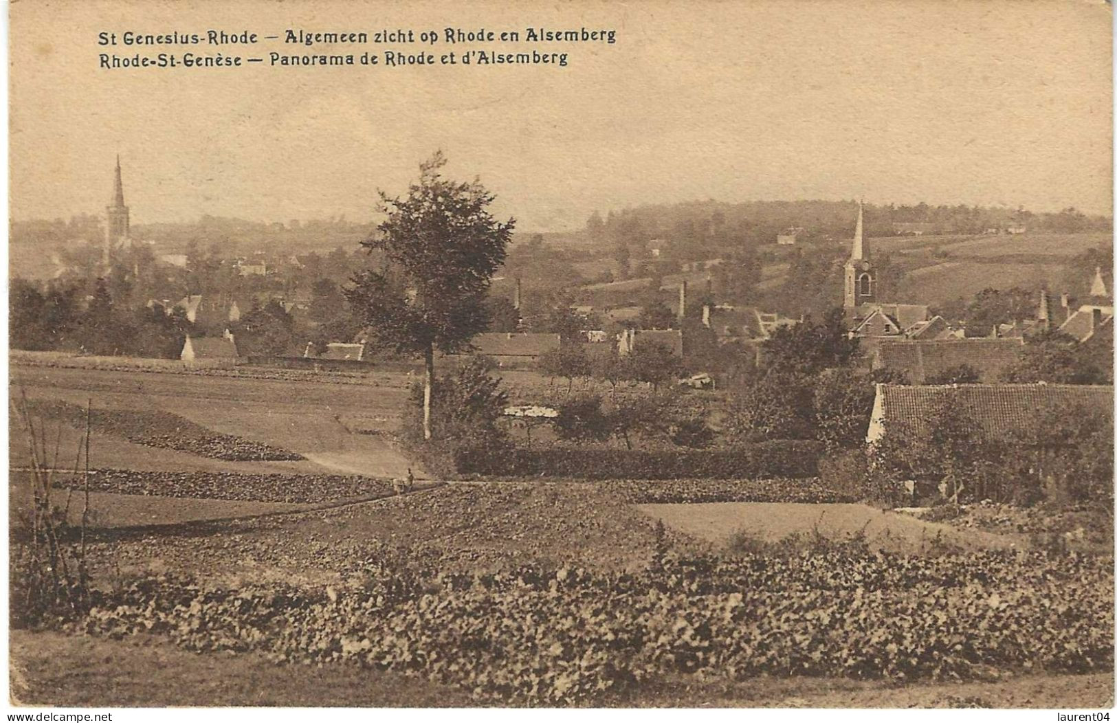 RHODE SAINT GENESE.  PANORAMA DE RHODE ET D'ALSEMBERG. - St-Genesius-Rode