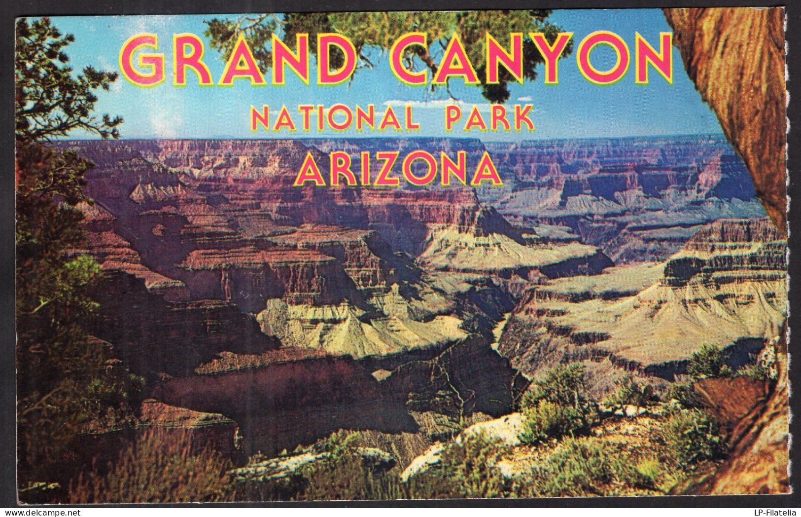 United States - Arizona - Lot Of 5 Color Postcards - Grand Canyon - Grand Canyon