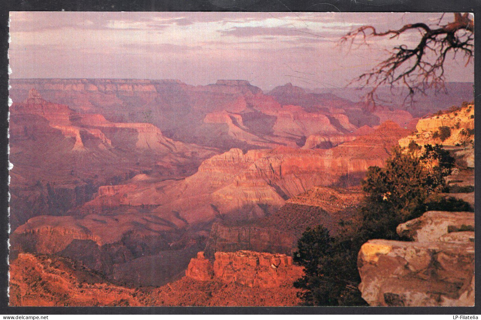 United States - Arizona - Lot Of 5 Color Postcards - Grand Canyon - Gran Cañon