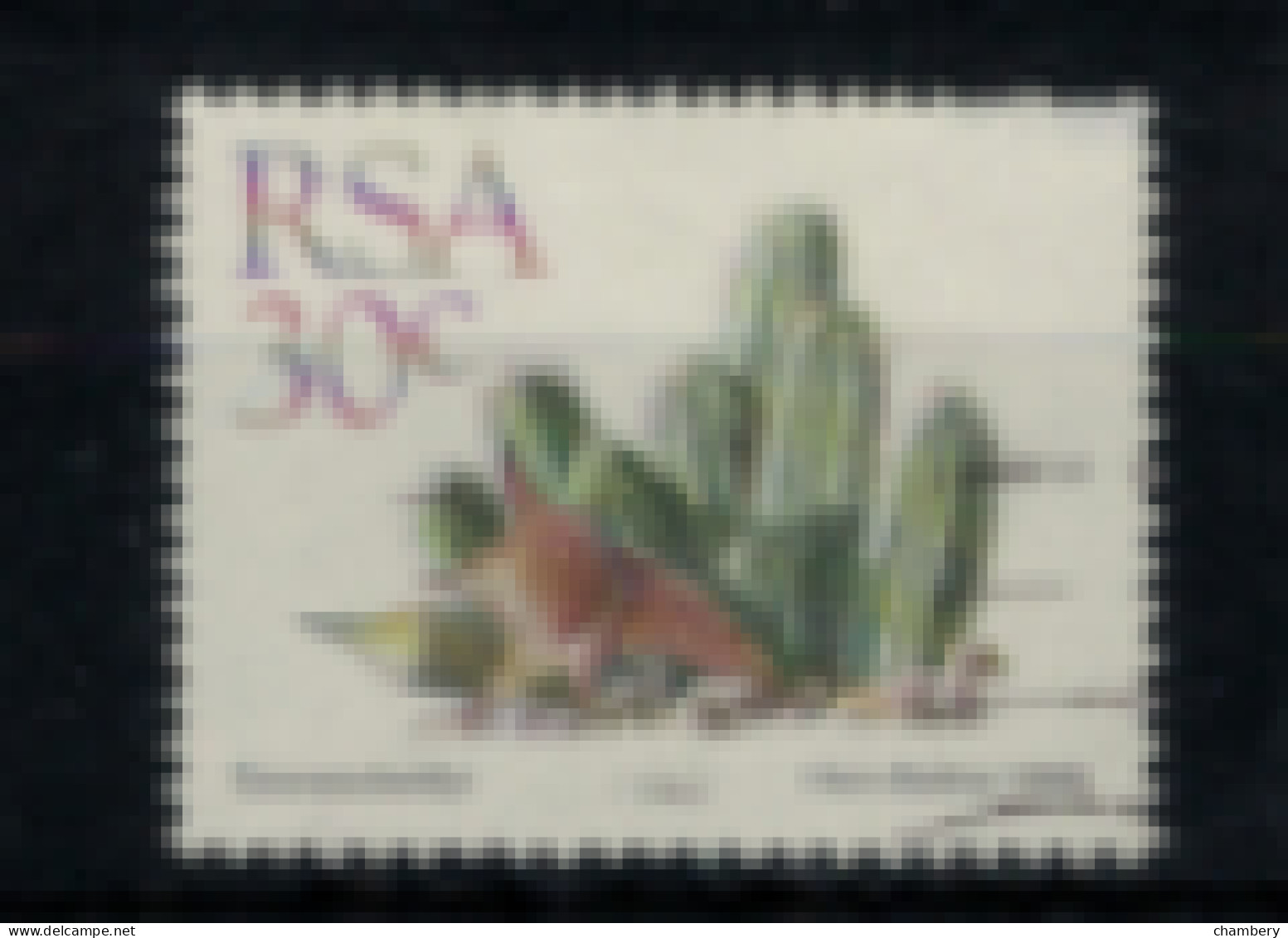 Afrique Du Sud - "Plante Grasse Et Fleur : Taratesta" - Oblitéré N° 668 De 1988 - Gebruikt