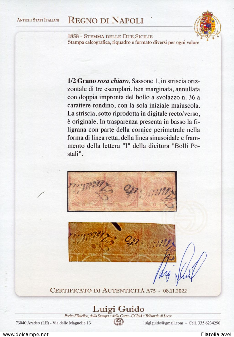 Us 1858 - Napoli - 3 Valori Da 1 /2 Gr Rosa Chiaro (1) Ottima Qualità, Presenza Filigrana Linea Retta Della Cornice Peri - Napels