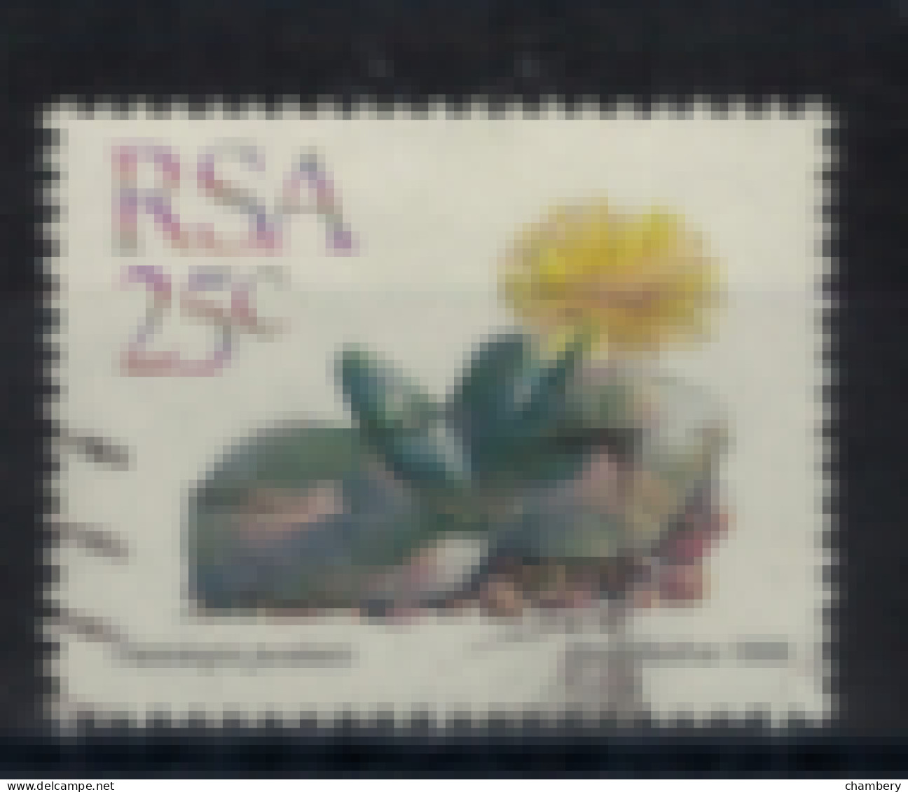 Afrique Du Sud - "Plante Grasse Et Fleur : Chetridopsis" - Oblitéré N° 667 De 1988 - Used Stamps