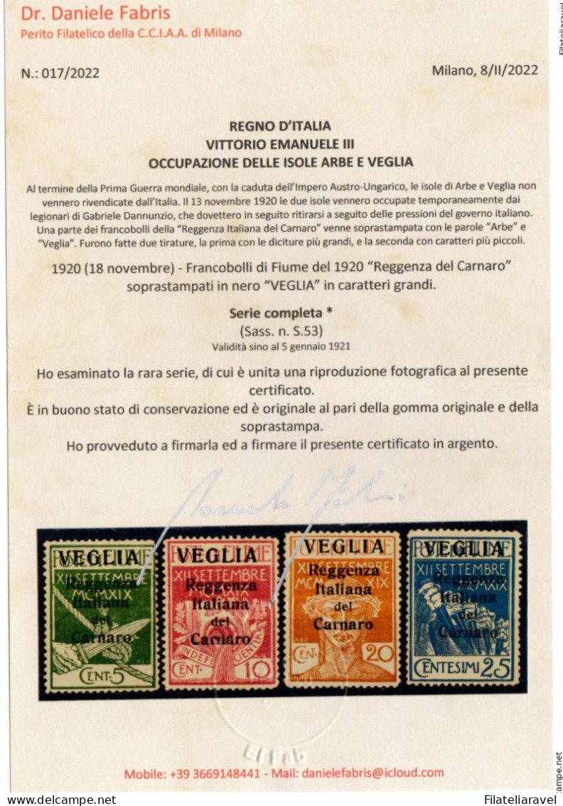 * 1920 Fiume -  Francobolli  Con Soprastampa Veglia In Caratteri Grandi Sassone 1/4 Cert  Fabris - Arbe & Veglia