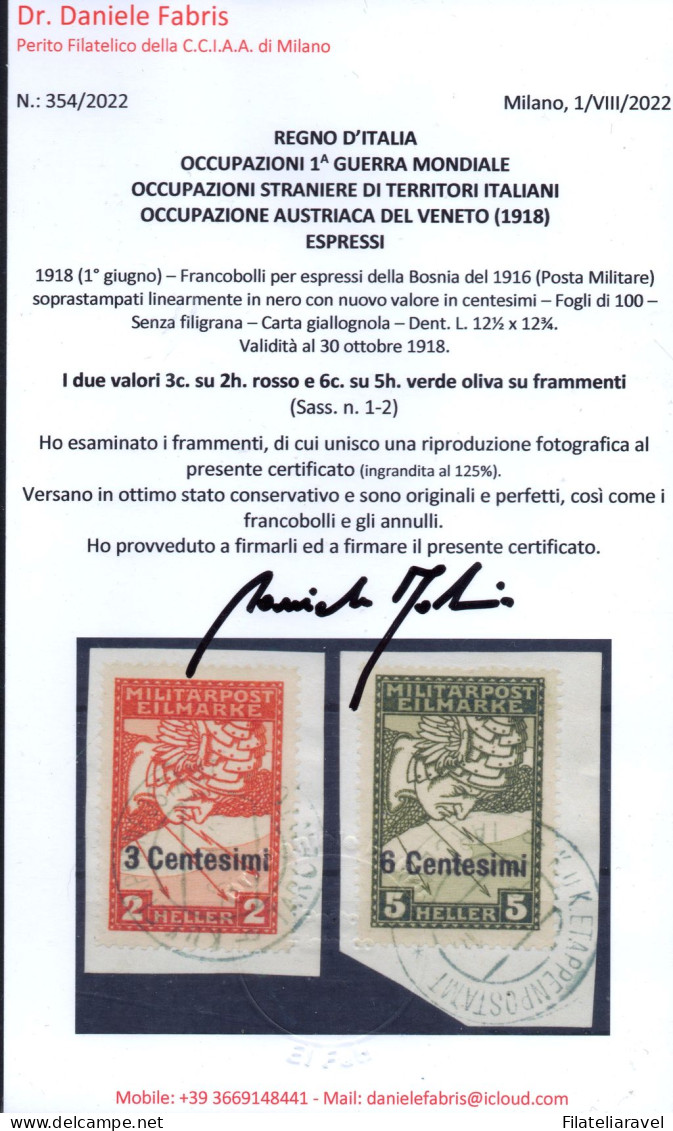 Us 1918 -Occ Austriaca - Occupazioni Staniere Di Territori Italiani -  Occupazione Austriaca (Ex 1/2) Espressi Di Bosnia - Occ. Autrichienne