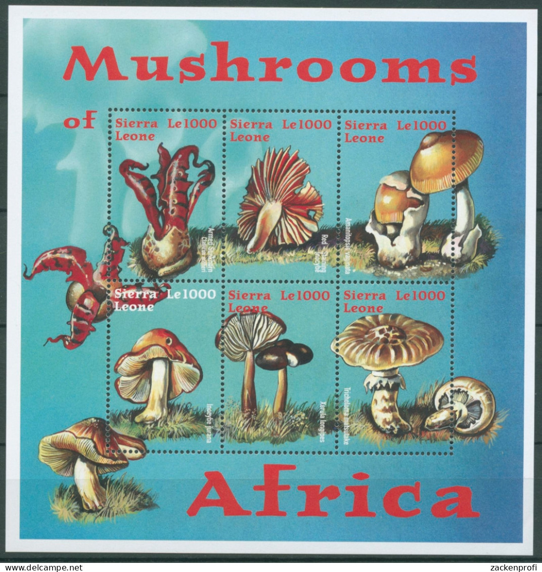 Sierra Leone 2000 Afrikanische Pilze 3711/16 K Postfrisch (C28682) - Sierra Leone (1961-...)
