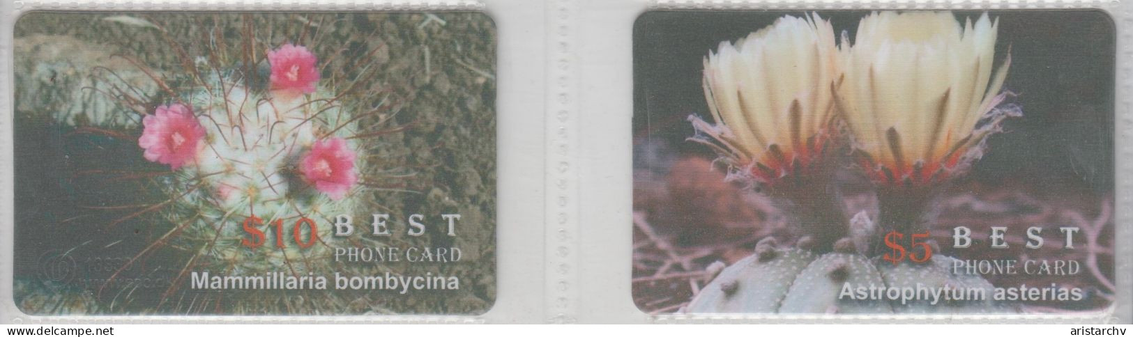 ISRAEL FLOWER CACTUS 2 CARDS - Fleurs