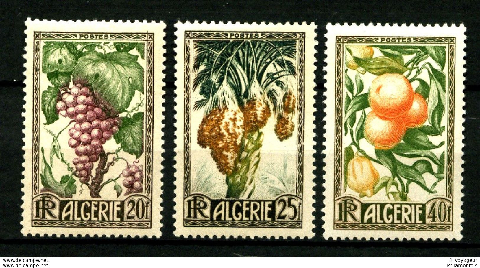 ALGERIE - 279 / 281 - Productions Algériennes - Complet 3 Valeurs - Neufs N* - Très Beaux - Neufs