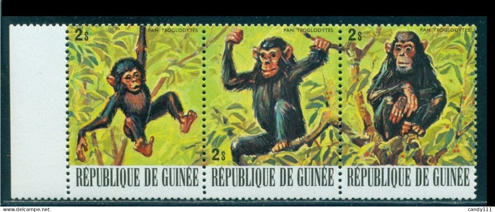 1977 Wild Animals,The Chimpanzee,chimp,great Ape,Guinea,796,MNH - Chimpansees