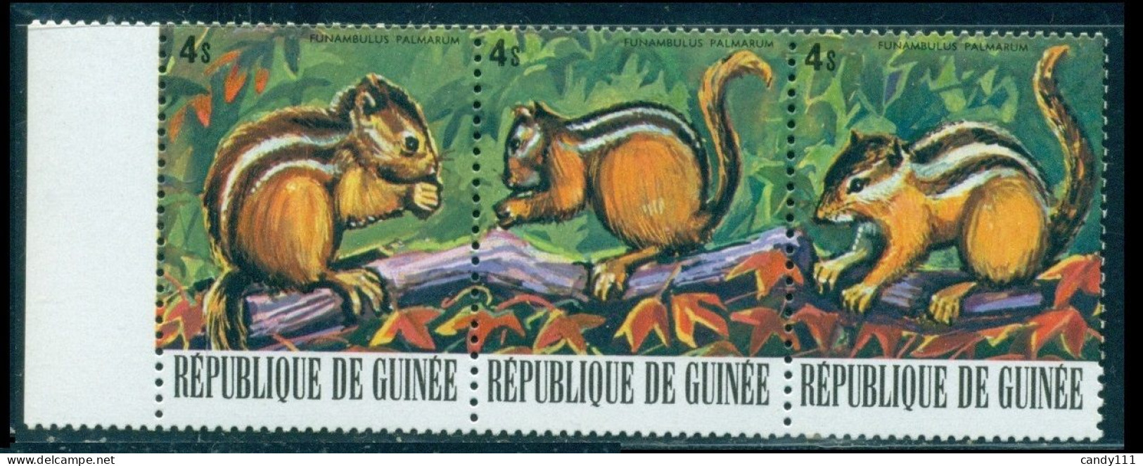 1977 Wild Animals,palm Squirrel Funambulus Palmarum,rodent,Guinea,805,MNH - Chimpansees