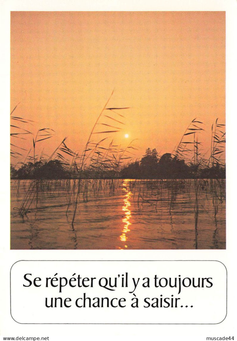 PAYSAGE AQUATIQUE - SE REPETER QU IL Y A TOUJOURS UNE CHANCE A SAISIR... - Philosophie & Pensées