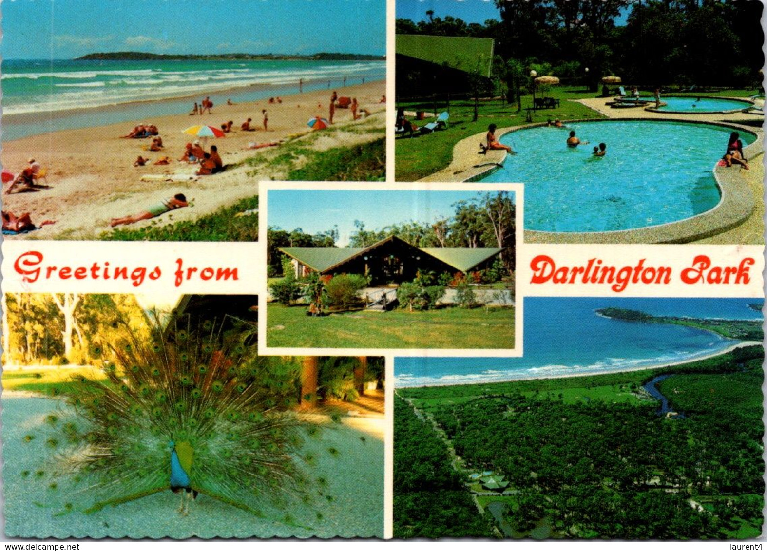 9-3-2024 (2 Y 31) Australia -  NSW - Darlington Park (Corindi Beach 2456) - Autres & Non Classés