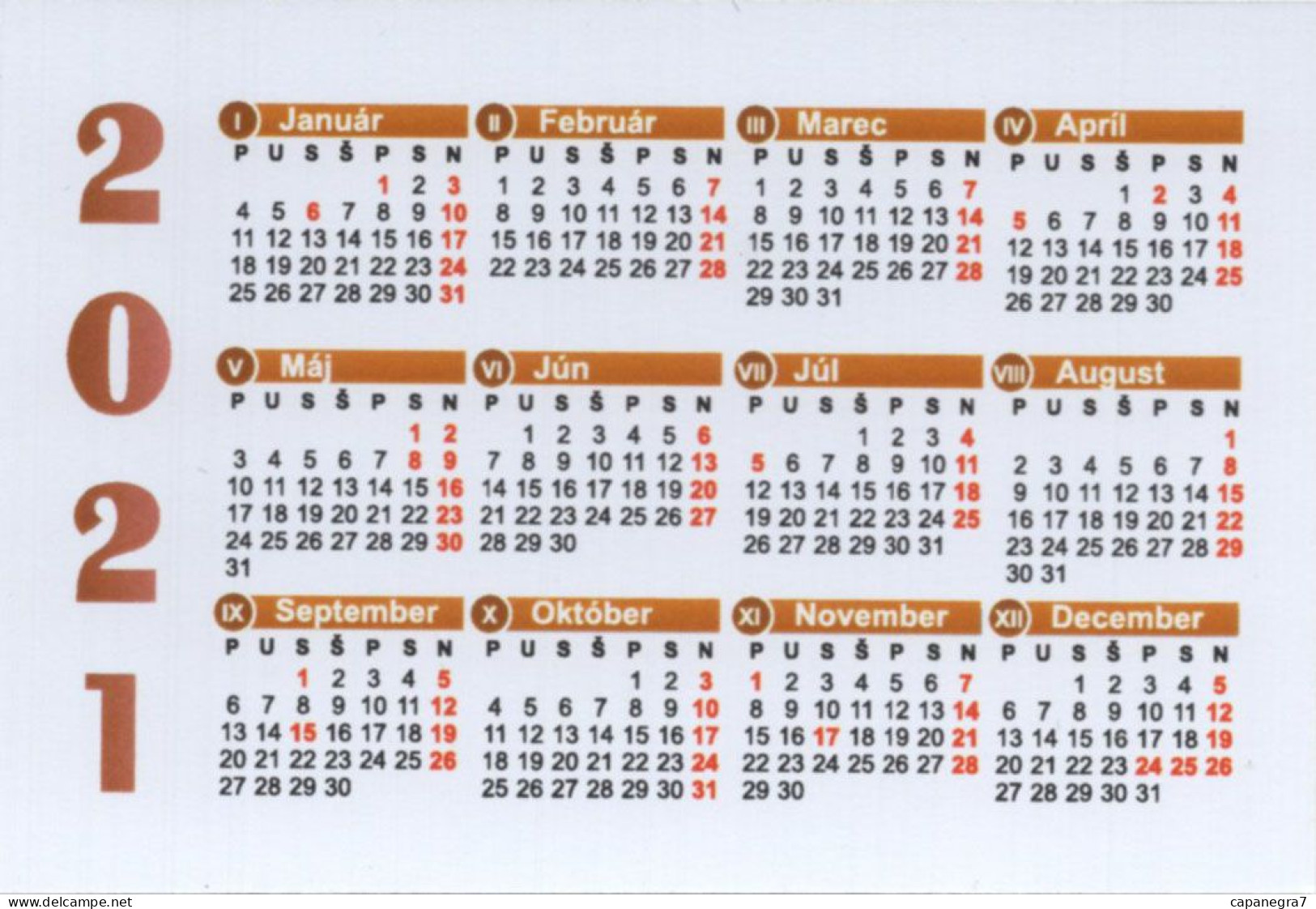 Mushrooms, Slovakia, 6 Pocket Calendar 2021 - Kleinformat : 2001-...