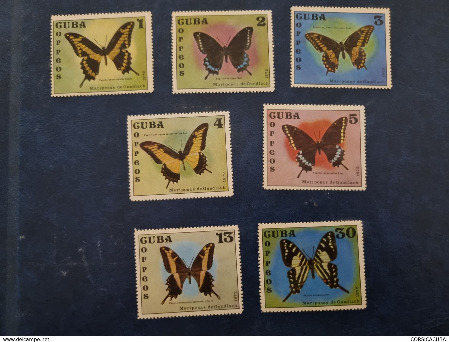 CUBA  NEUF  1972   MARIPOSAS  CUBANAS   //  PARFAIT  ETAT  // Sans Gomme - Ungebraucht