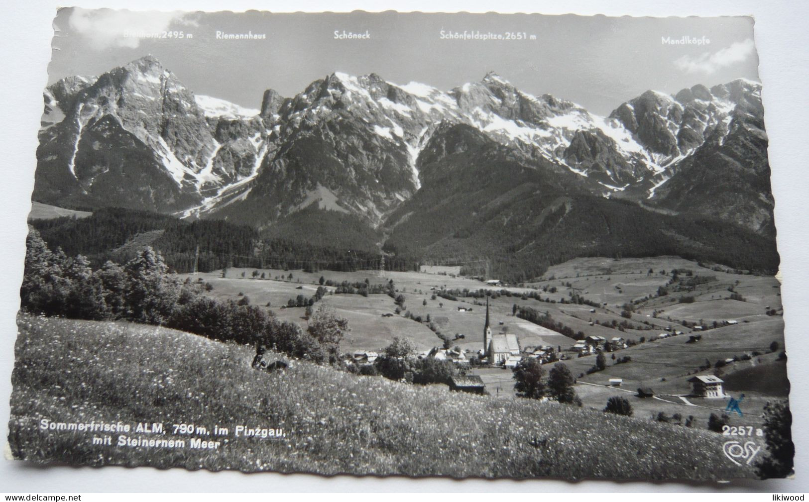 Alm Im Pinzgau Mit Steinerne Meer - Saalfelden