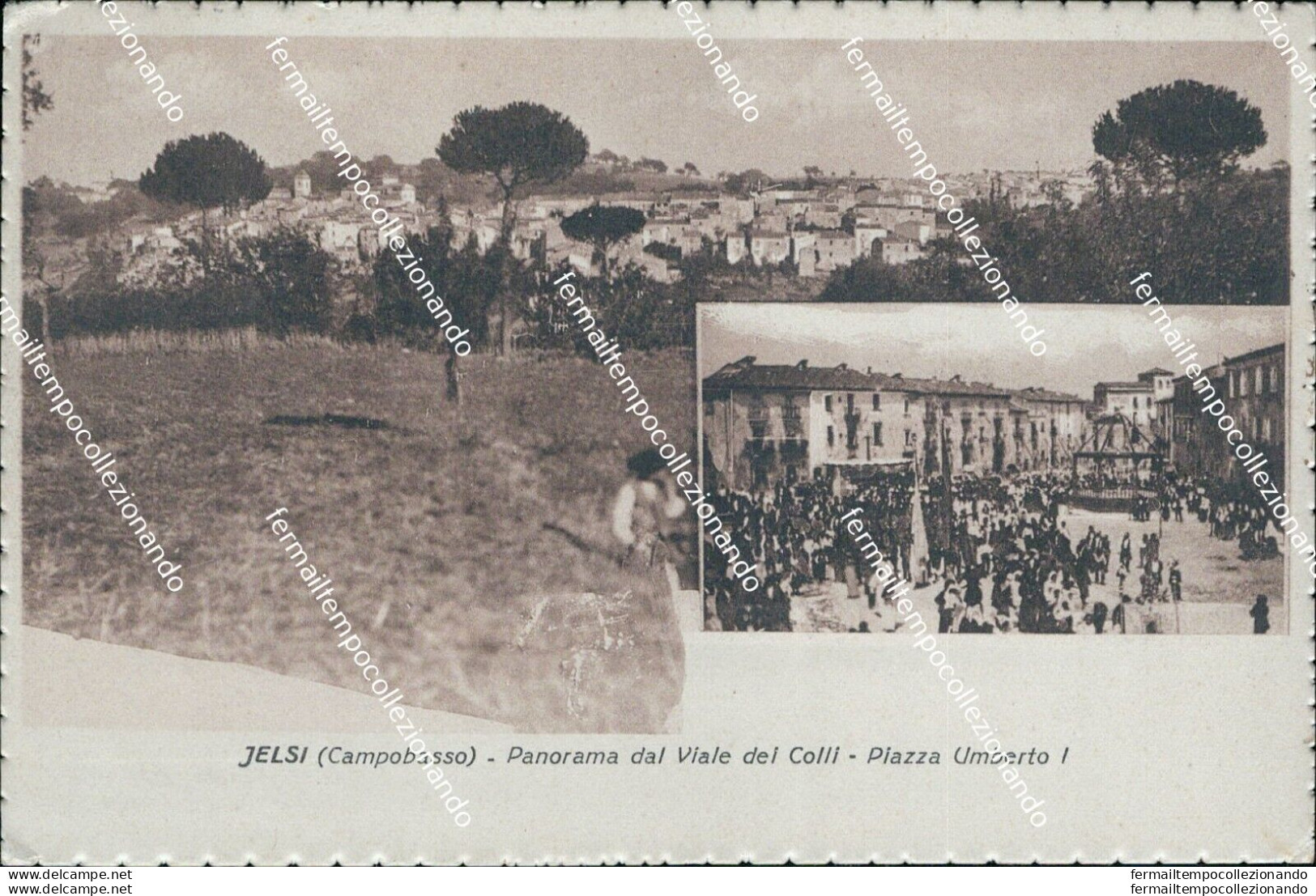 Cl233 Cartolina Jelsi Panorama Dal Viale Dei Colli Piazza Umberto I Campobasso - Campobasso