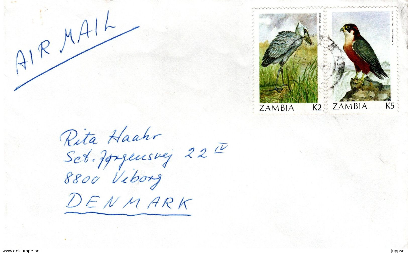 ZAMBIA, Letter, Taita Falcon    /  ZAMBIE, Lettre, Faucon, Falco Fasciinucha - Águilas & Aves De Presa