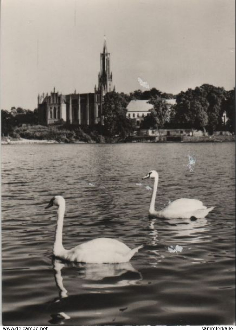 56177 - Malchow - Blick Zur Klosterkirche - 1971 - Neubrandenburg