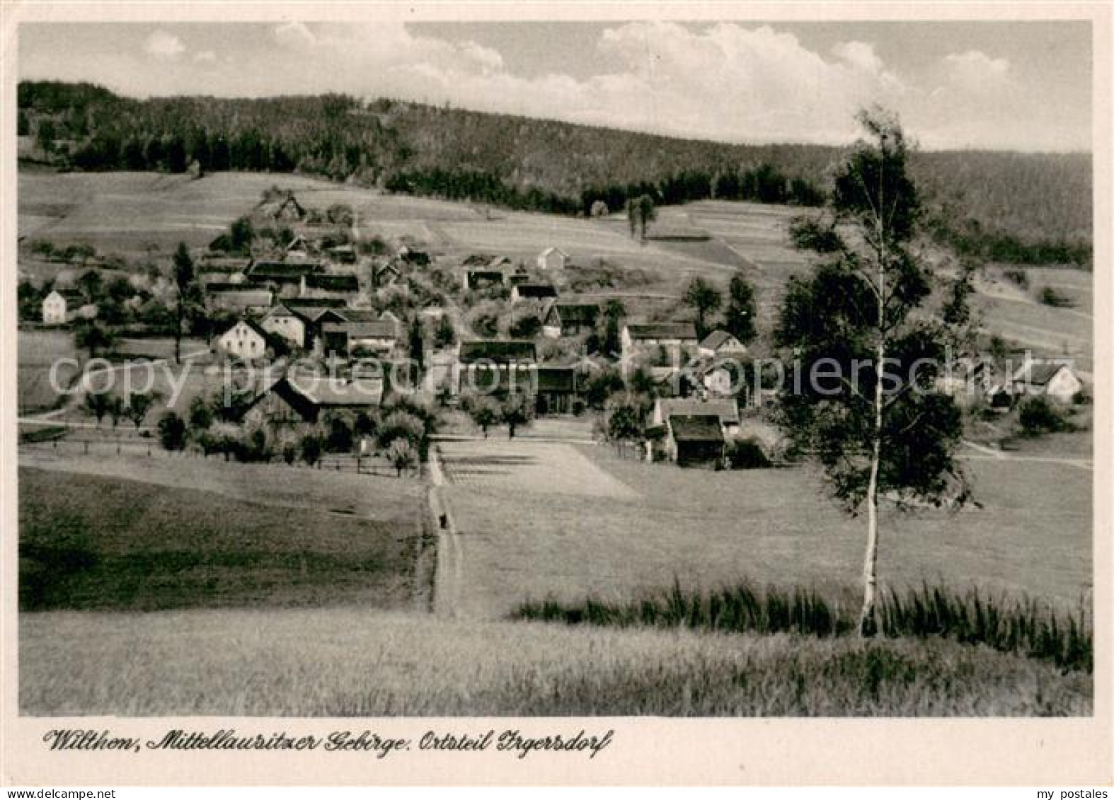 73776212 Ilgersdorf Panorama Mittellausitzer Gebirge Ilgersdorf - Wilthen