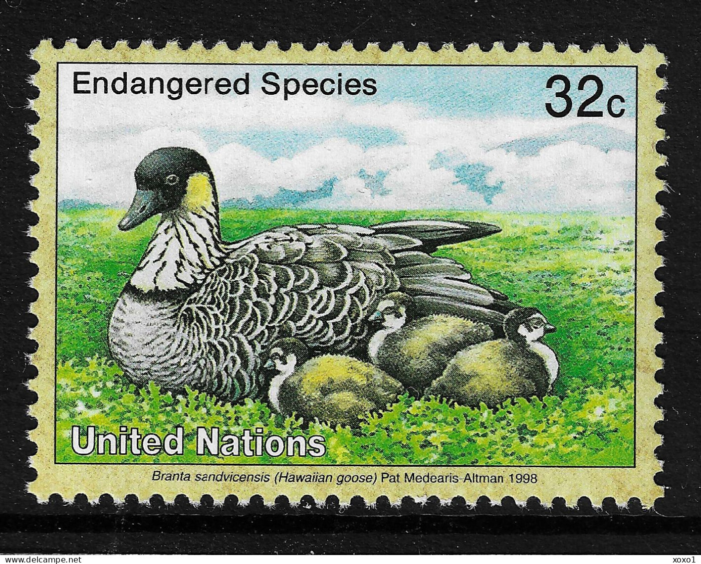 United Nations 1998 MiNr. 768 New York - VI  Birds The Nene (Branta Sandvicensis) 1v MNH** 0.70 € - Oies