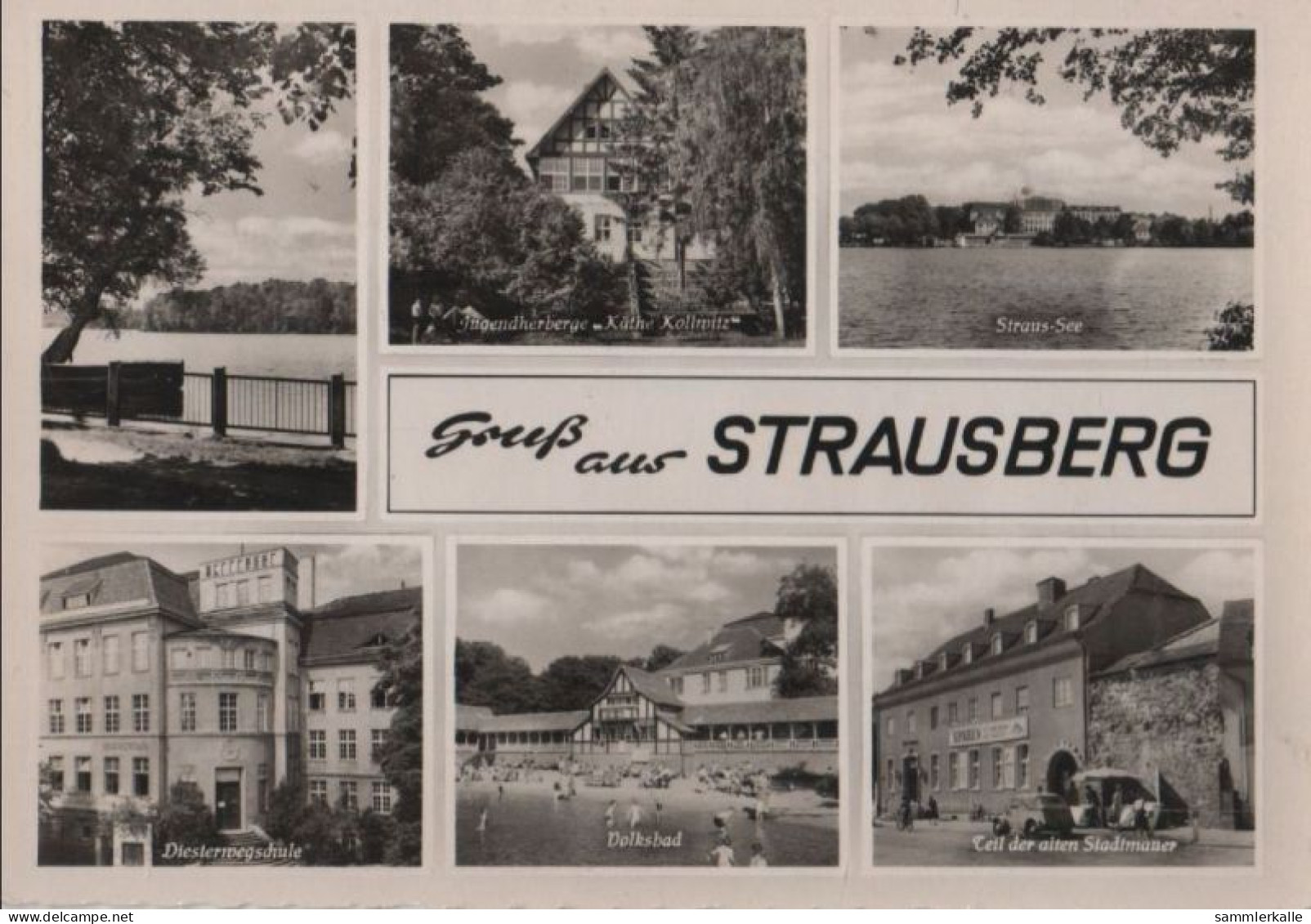 80516 - Strausberg - U.a. Straus-See - 1961 - Strausberg