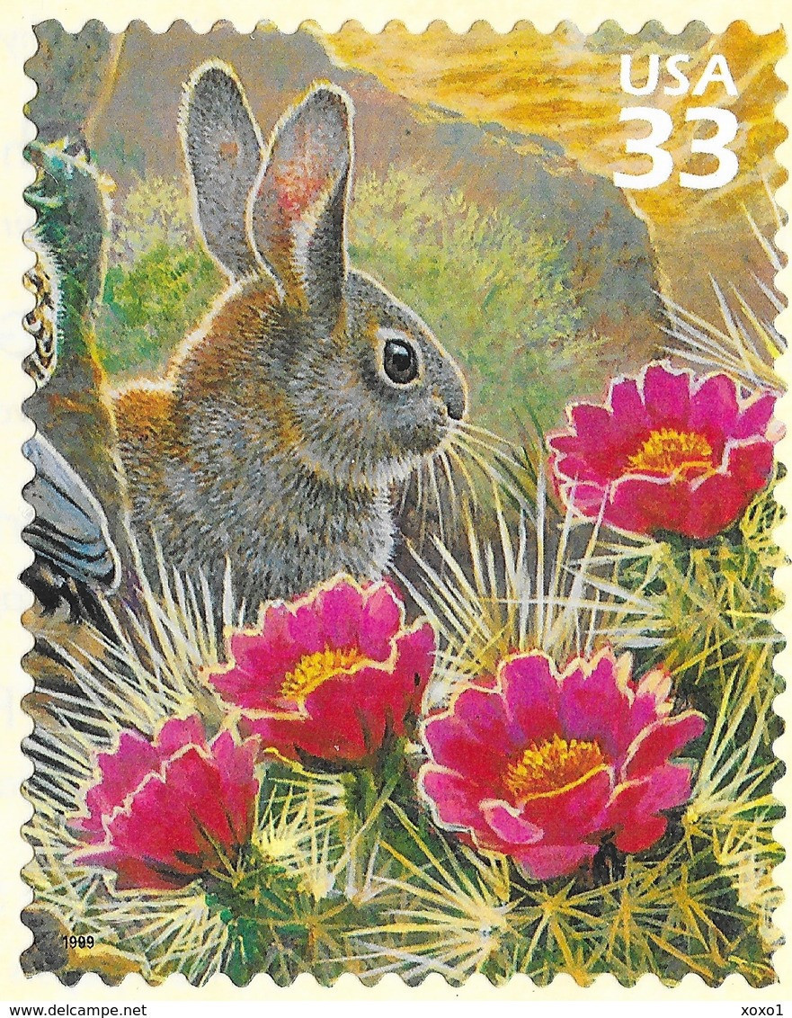 USA 1999 Mi.No. 3107 Etats-Unis United States Sonoran Desert #1 Cottontail Rabbits Mammals Plants 1v MNH** 0,80 € - Rabbits