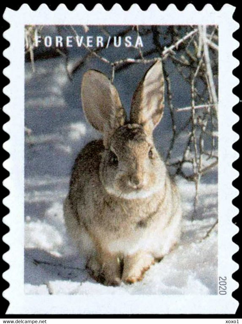 USA 2020 MiNr. 5769 - 5778  Animals Horses Rabbits 3v MNH** 4,00 € - Konijnen