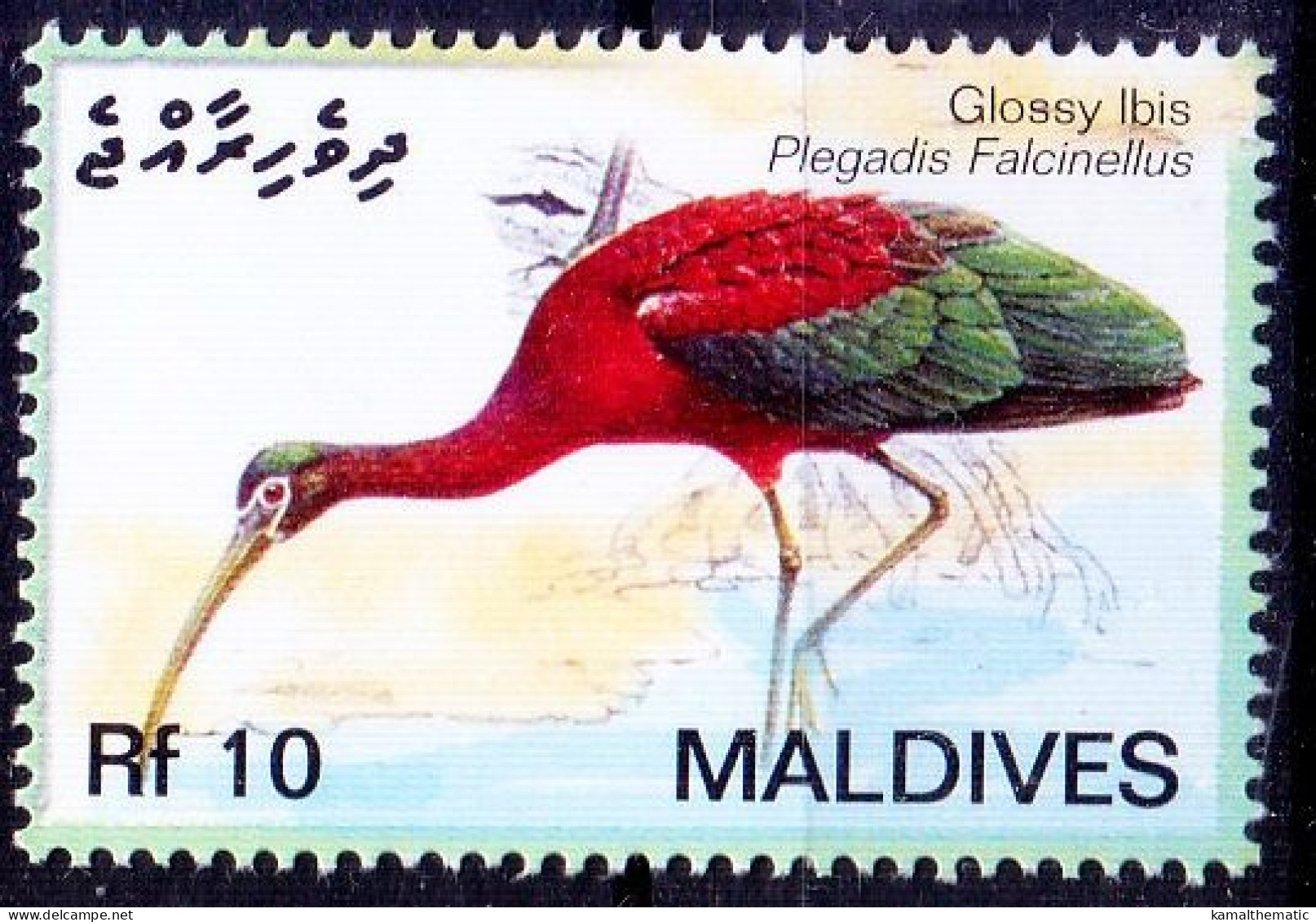 Maldives 2007 MNH, Water Birds, Glossy Lbis - Ooievaars