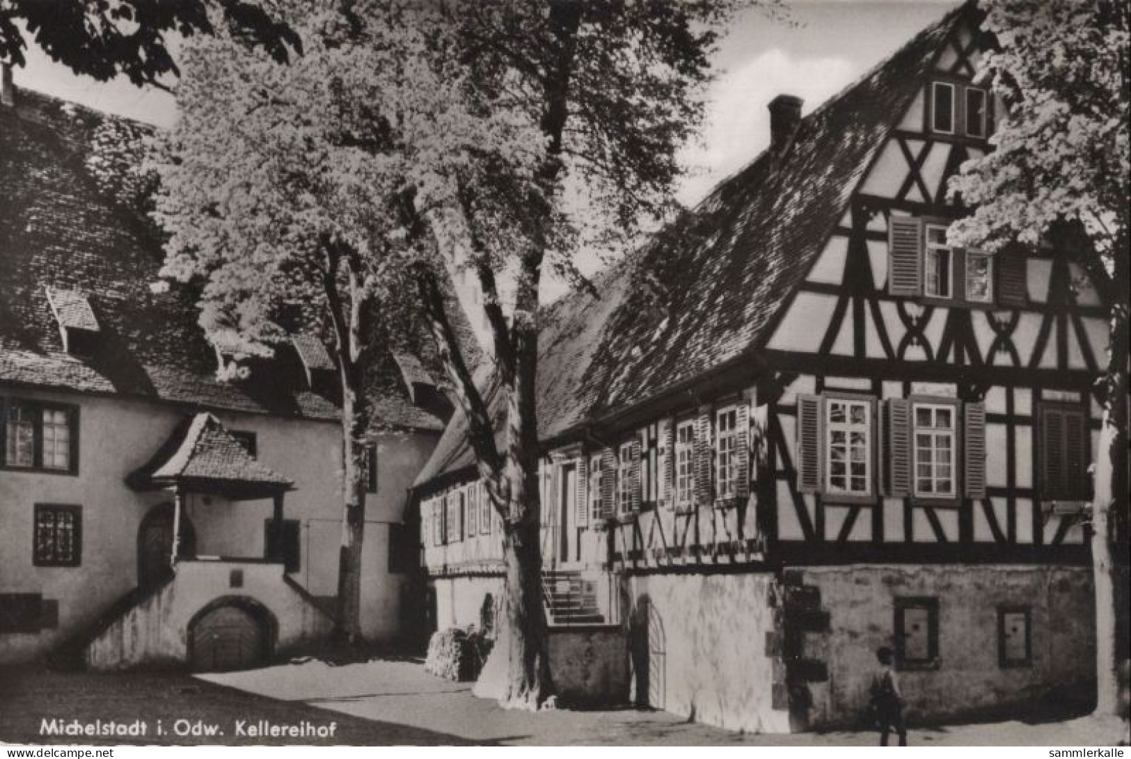 128471 - Michelstadt - Kellereihof - Michelstadt