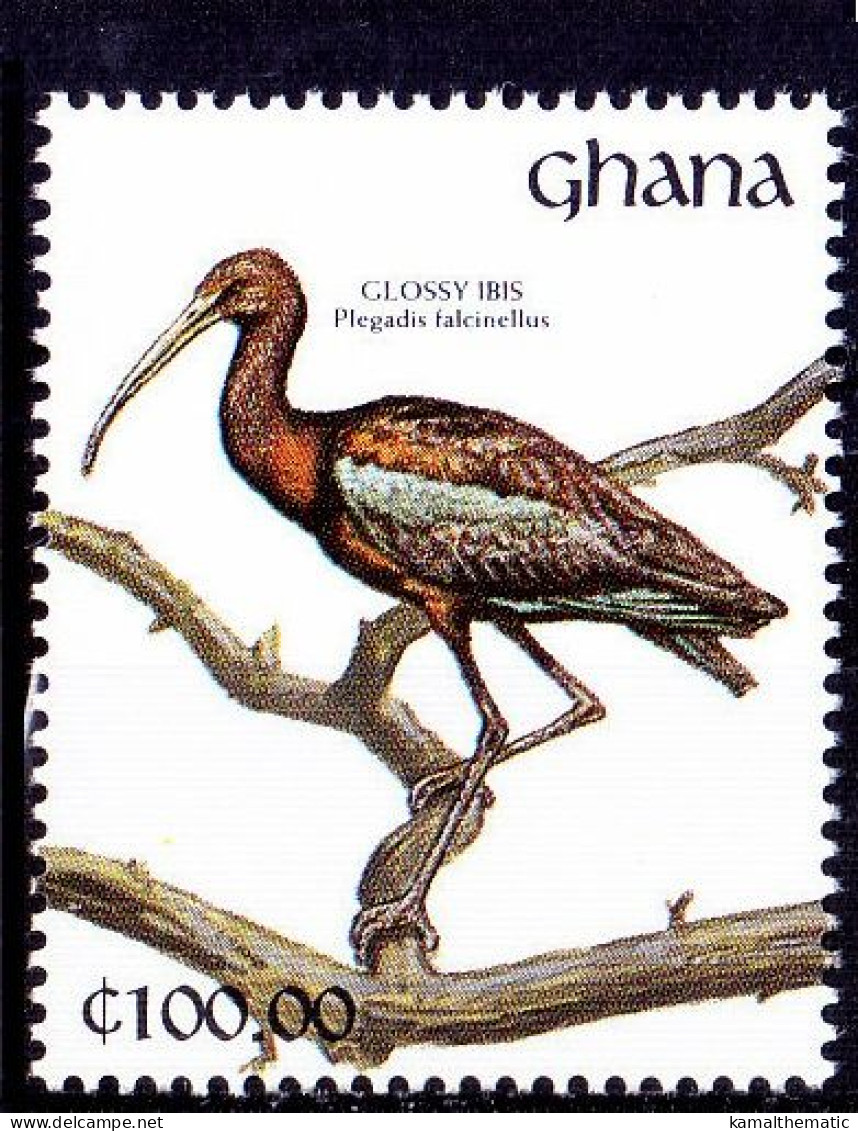 Ghana 1991 MNH, Water Birds, Glossy Ibis - Marine Web-footed Birds