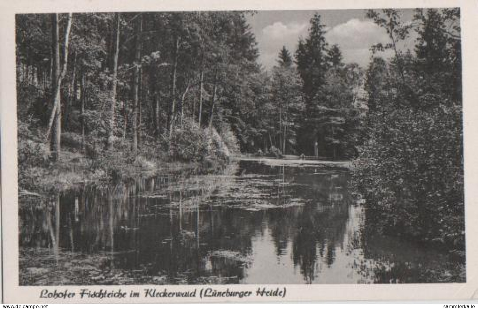 21847 - Walsrode - Lohofer Fischteiche Im Kleckerwald - 1961 - Walsrode