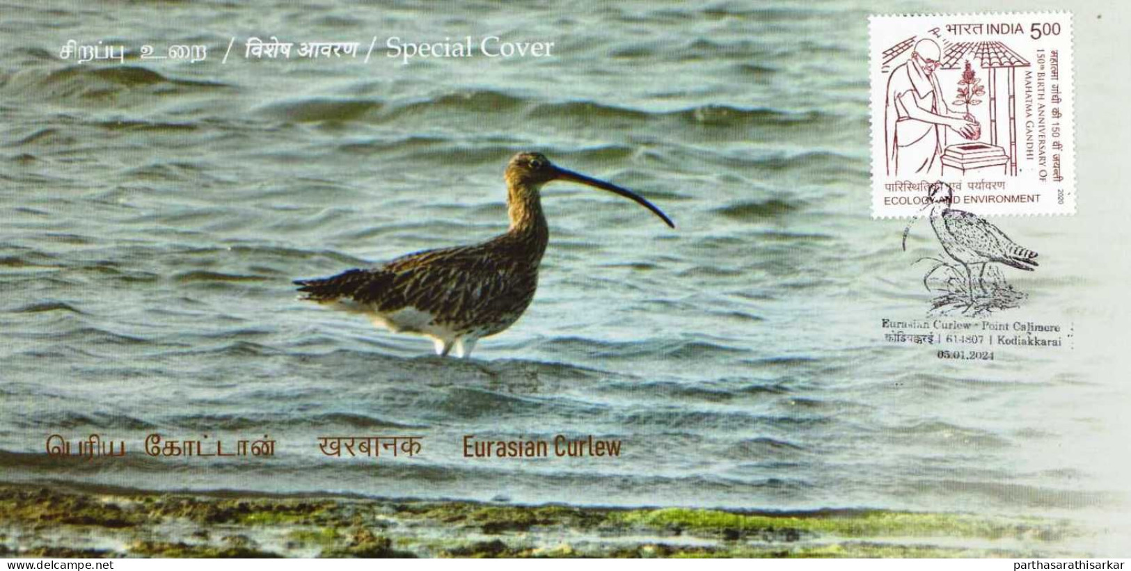 INDIA 2024 SET OF 6 SPECIAL COVER ISSUED FROM POINT CALIMERE WILDLIFE SANTURY KODIAKKARAI FAUNA BIRDS LIMITED KNOWN RARE - Cartas & Documentos