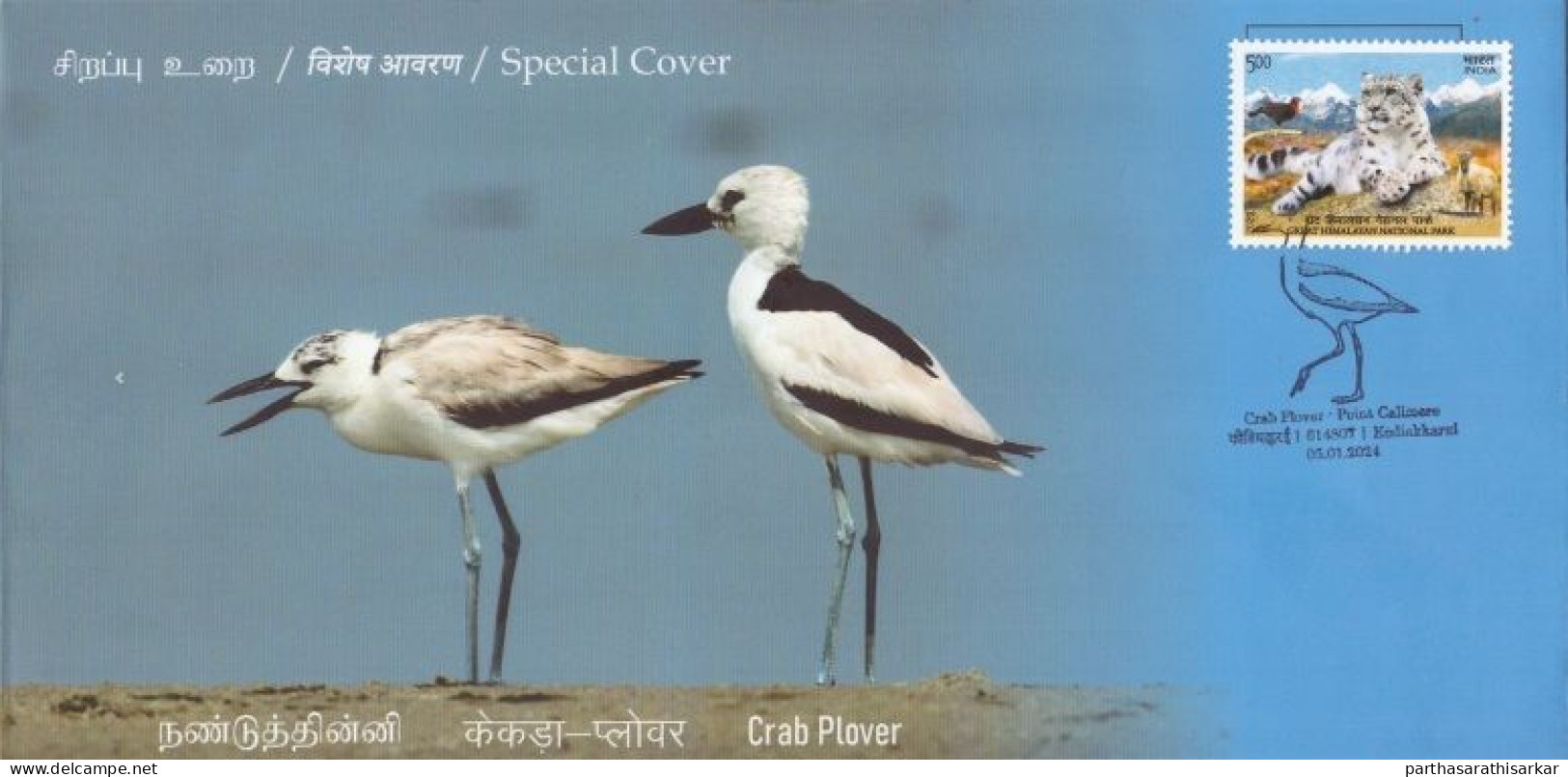 INDIA 2024 SET OF 6 SPECIAL COVER ISSUED FROM POINT CALIMERE WILDLIFE SANTURY KODIAKKARAI FAUNA BIRDS LIMITED KNOWN RARE