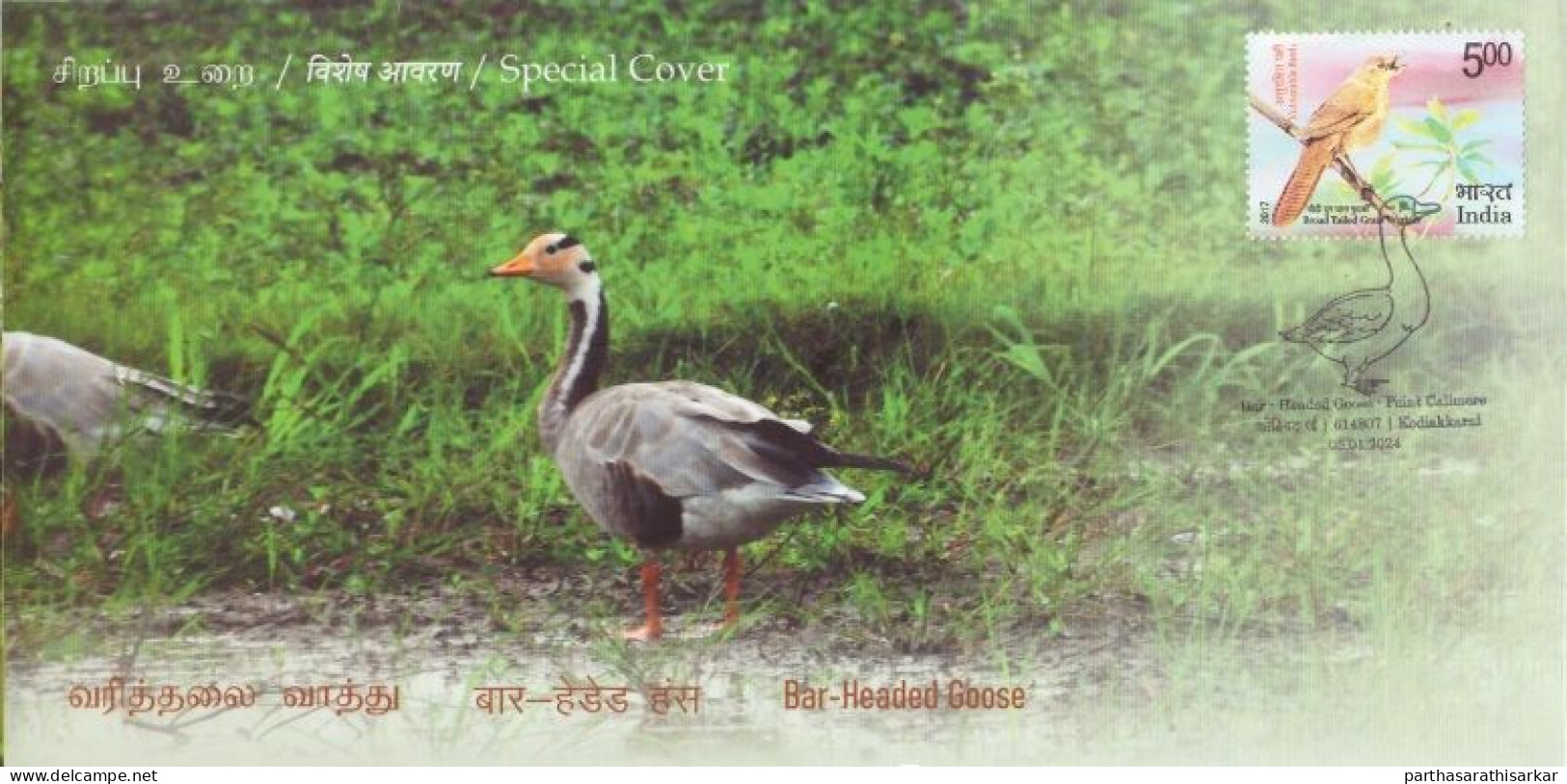 INDIA 2024 SET OF 6 SPECIAL COVER ISSUED FROM POINT CALIMERE WILDLIFE SANTURY KODIAKKARAI FAUNA BIRDS LIMITED KNOWN RARE