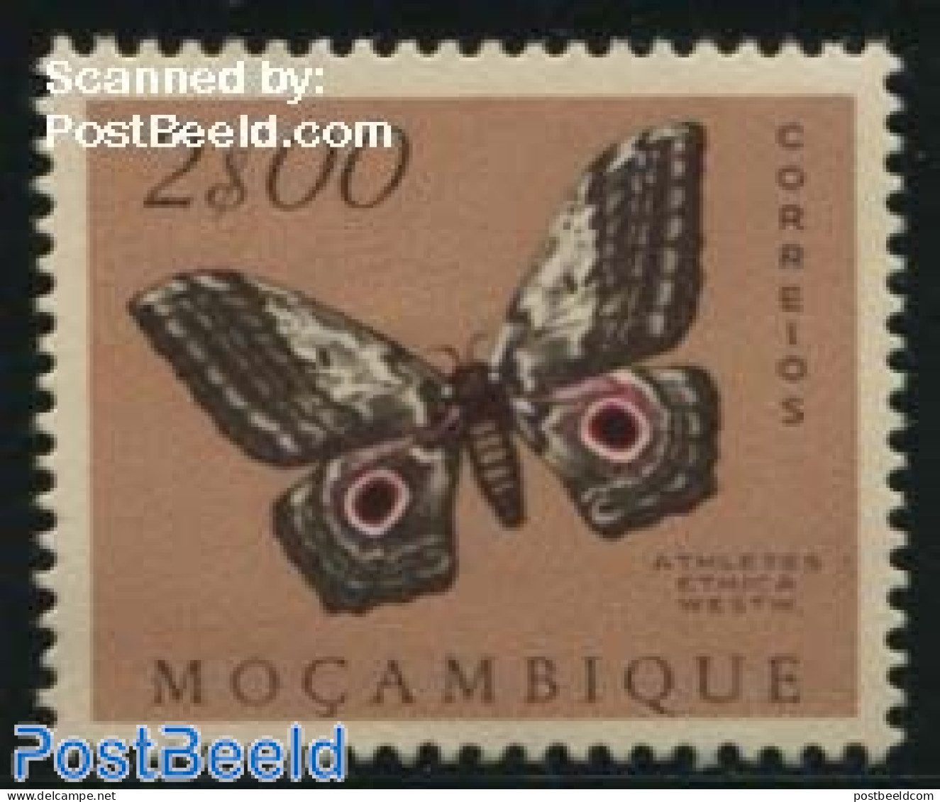 Mozambique 1953 2.00, Stamp Out Of Set, Mint NH, Nature - Butterflies - Mosambik