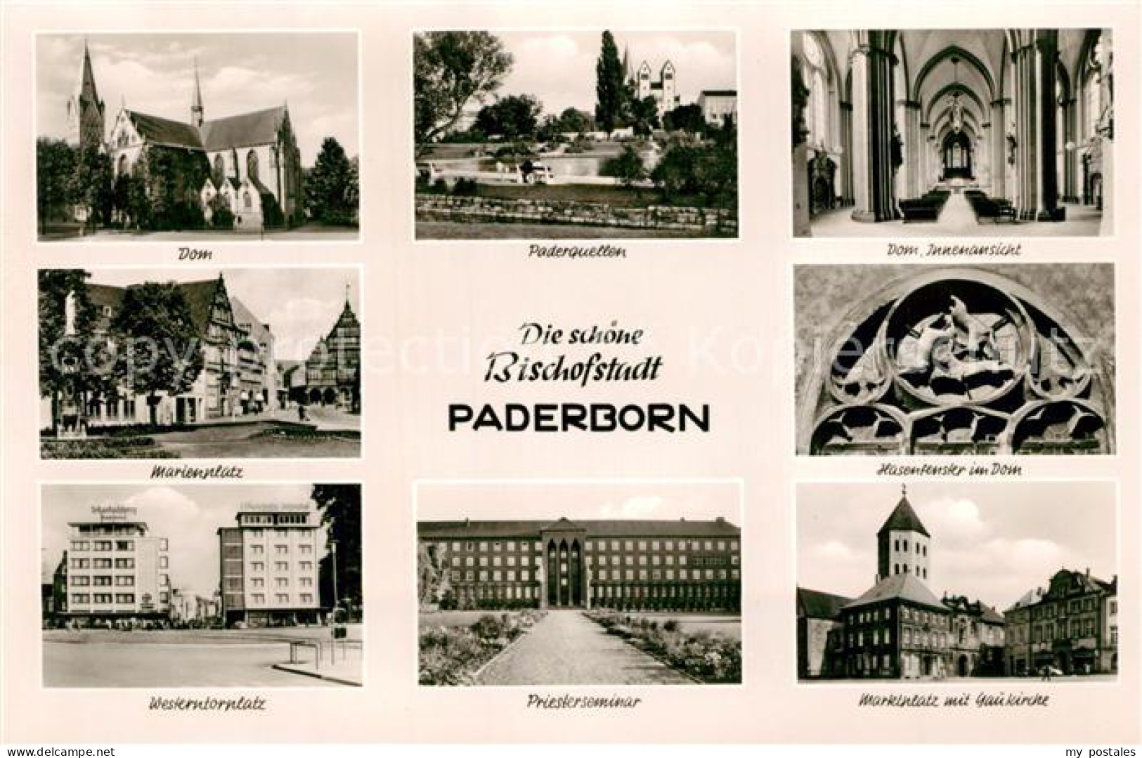 73292704 Paderborn Dom Inneres Paderquellen Marienplatz Westerntorplatz Priester - Paderborn