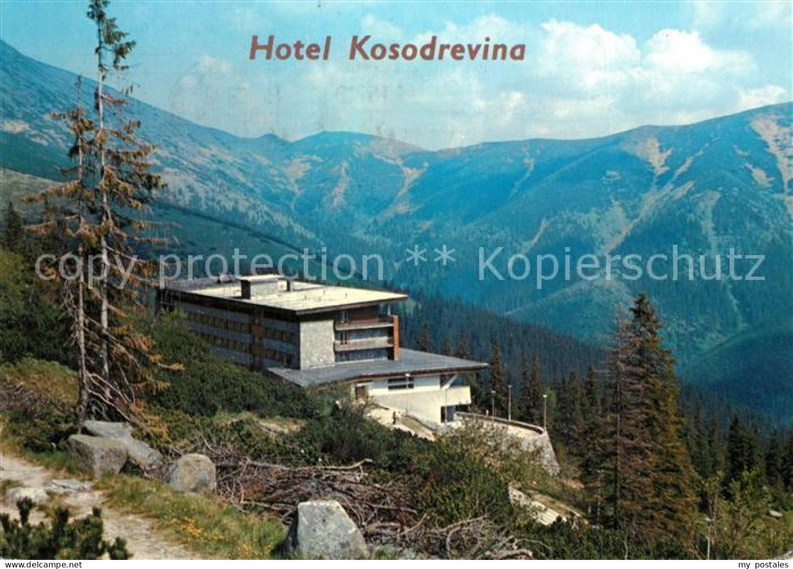 73289990 Nizke Tatry Horsky Hotel Kosodrevina Nizke Tatry - Slovaquie