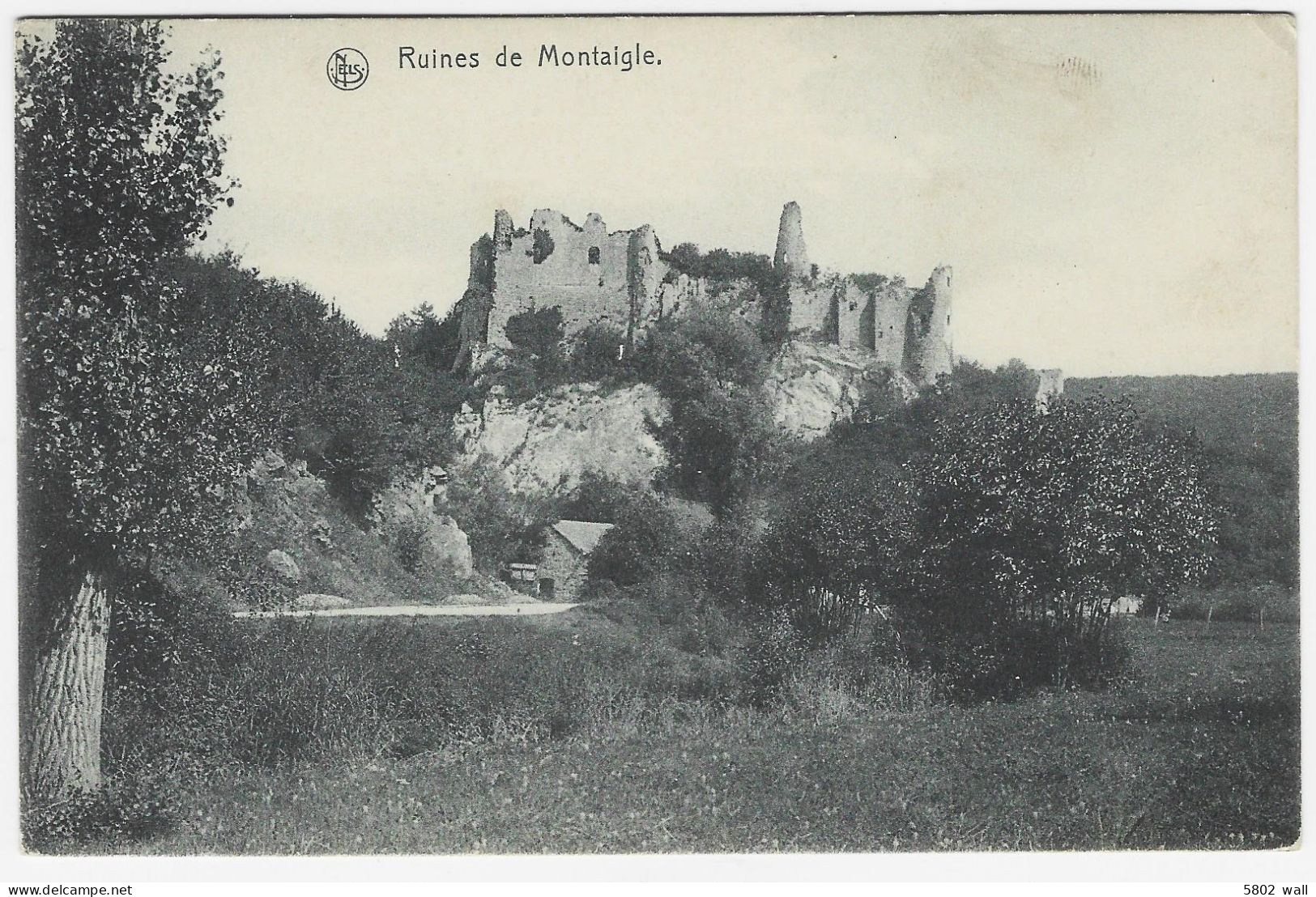 ONHAYE : Ruines De Montaigle - Onhaye